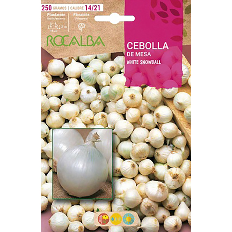 BULBOS CEBOLLA DE MESA WHITE SNOWBALL 250 GR. Bulbos Cebolla De Mesa White Snowball 250 Gr.