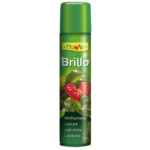 Abrillantador Brillo Planta Natural 800 Cc