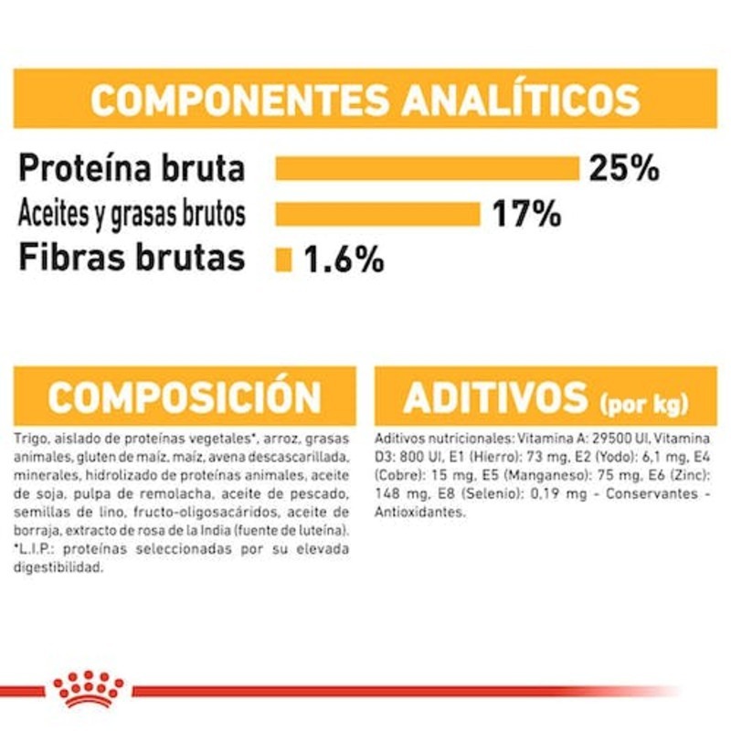 DERMACOMFORT MAXI 12 KG ROYAL CANIN Dermacomfort Maxi 12 Kg Royal Canin