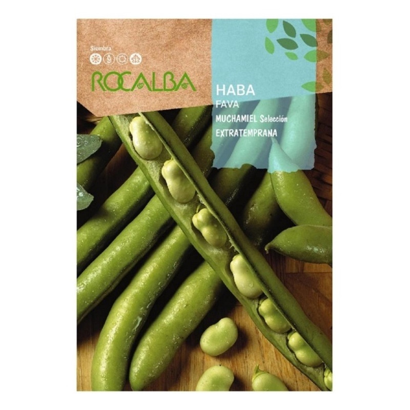 HABA MUCHAMIEL EXTRATEMPRANA 250 GR Haba Muchamiel Extratemprana 250 Gr