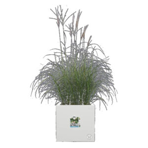 VIVO NEXT CUADRADA 40CM BLANCO