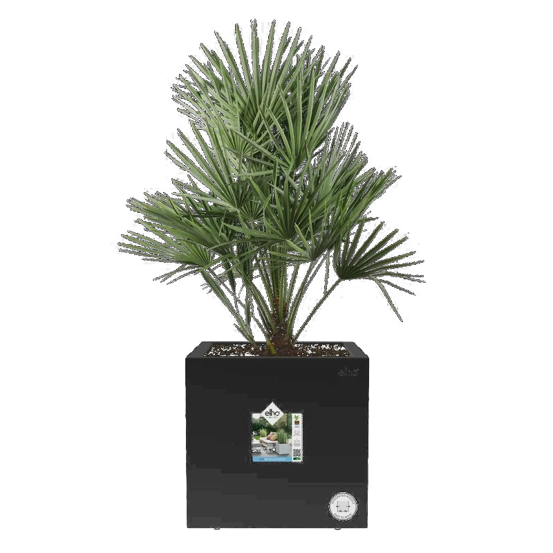 VIVO NEXT CUADRADA 40CM NEGRO VIVO Vivo Next Cuadrada 40Cm Negro Vivo