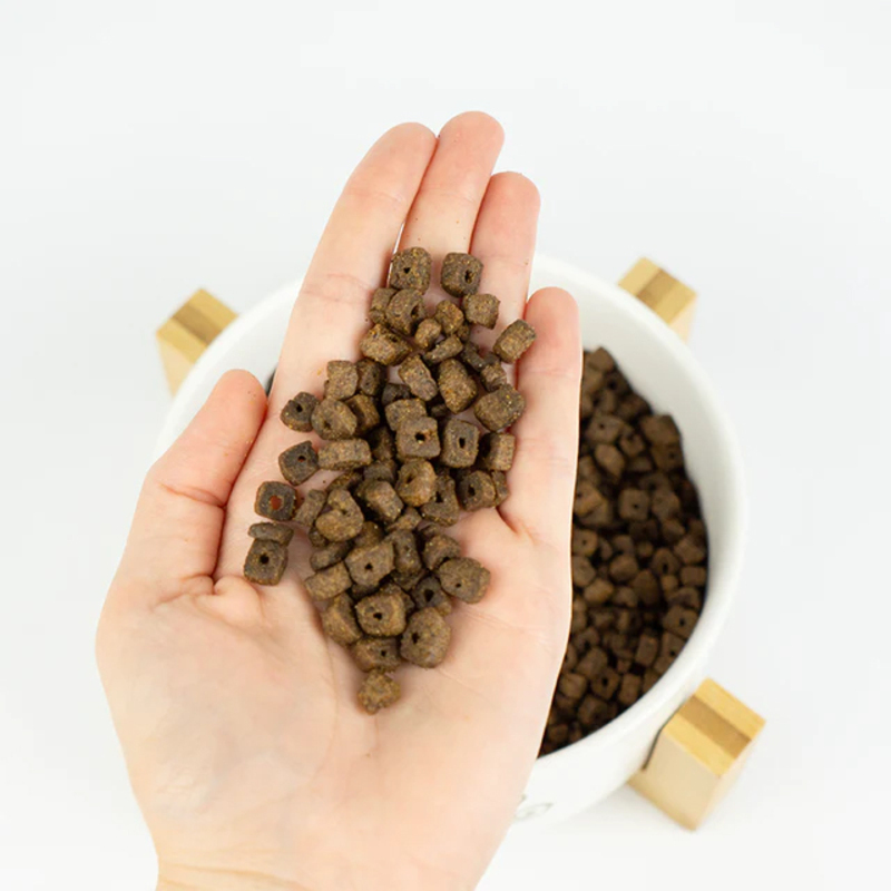 LENDA MINI MEAT & FISH SALMÓN 2 KG Lenda Mini Meat &Amp; Fish Salmón 2 Kg