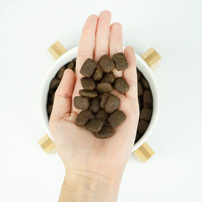 LENDA MEDIUM ADULT CHICKEN / POLLO 2 KG Lenda Medium Adult Chicken / Pollo 2 Kg