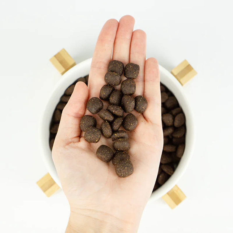 LENDA MEDIUM ADULT SALMÓN 12 KG Lenda Medium Adult Salmón 12 Kg