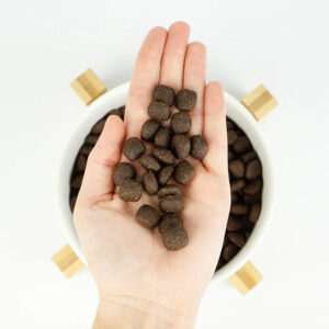 LENDA MEDIUM ADULT SALMÓN 2 KG