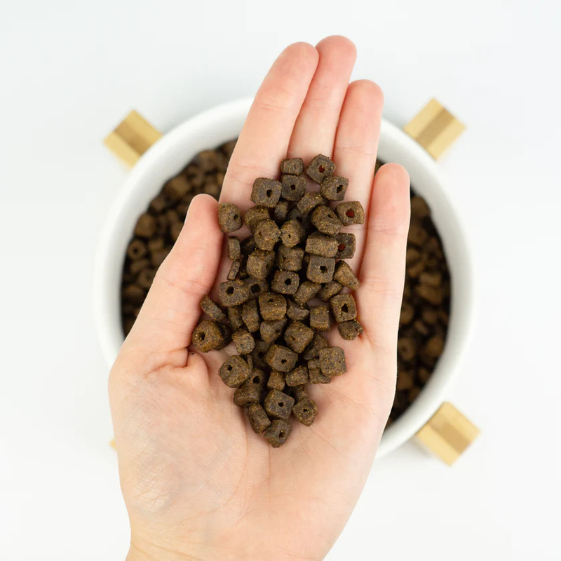 LENDA MINI ADULT ATLANTIC BLUE FISH 2 KG Lenda Mini Adult Atlantic Blue Fish 2 Kg