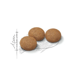 STERILISED 12+ YEARS REGULAR GATO 2 KG