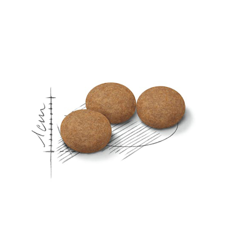 STERILISED 12+ YEARS REGULAR GATO 2 KG Sterilised 12+ Years Regular Gato 2 Kg