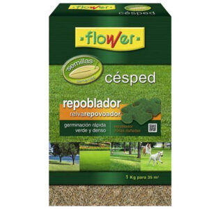 CÉSPED REPOBLADOR GERMINACIÓN RÁPIDA 1 KG