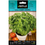 Albahaca Gigante Genovesa