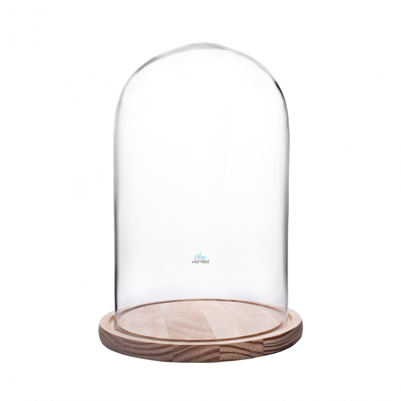 CÚPULA CON LED BASE DE MADERA 25 X 17 CMS TRANSP Cúpula Con Led Base De Madera 25 X 17 Cms Transp