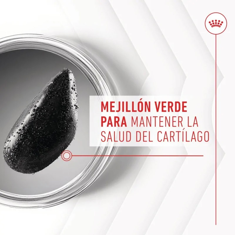 SNACK JOINT & AGEING AD 240 GR Snack Joint &Amp; Ageing Ad 240 Gr