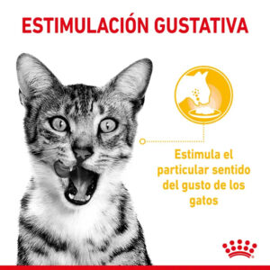SENSORY TASTE BOCADITOS EN SALSA CAT 85 GR