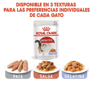 INSTINCTIVE JELLY GELATINA CAT 85 GR