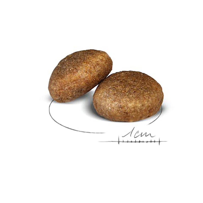 MAXI ADULT 15 KG Maxi Adult 15 Kg