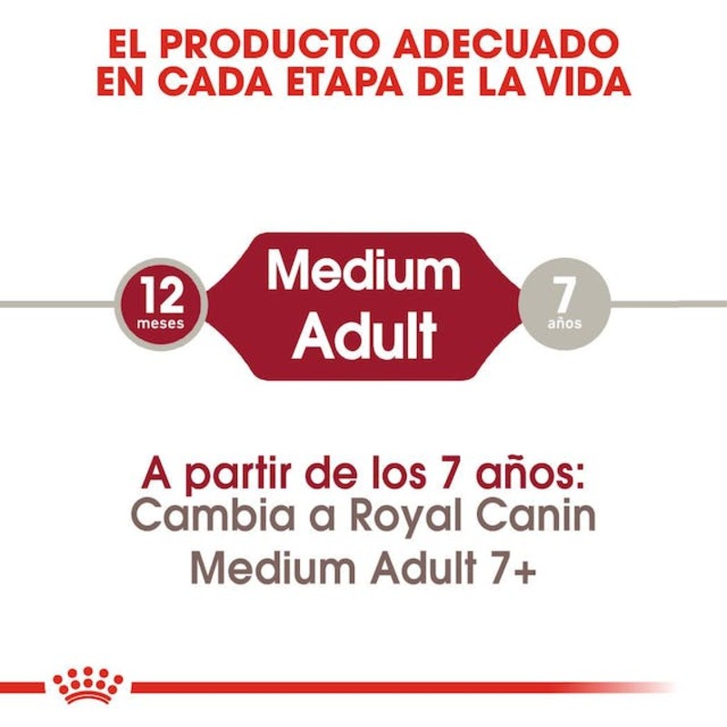MEDIUM ADULT 15 KG Medium Adult 15 Kg