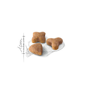 En PROMOCIÓN Sensible 33 Regular Cats