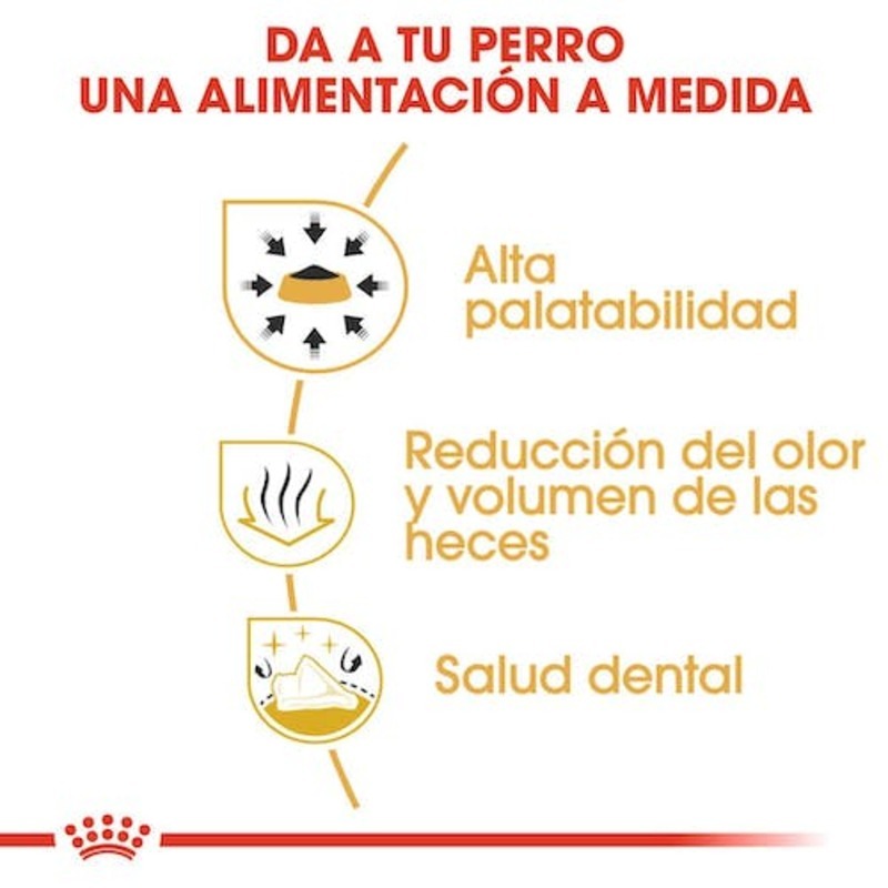 CHIHUAHUA ADULT 500GR Chihuahua Adult 500Gr