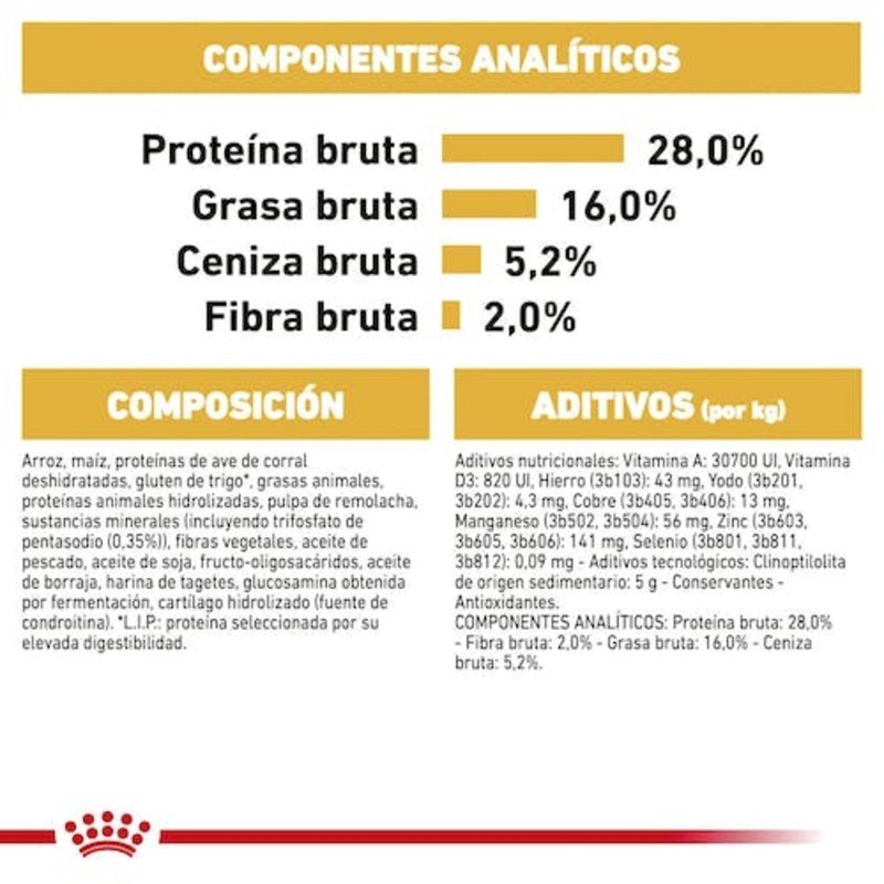 CHIHUAHUA ADULT 500GR Chihuahua Adult 500Gr