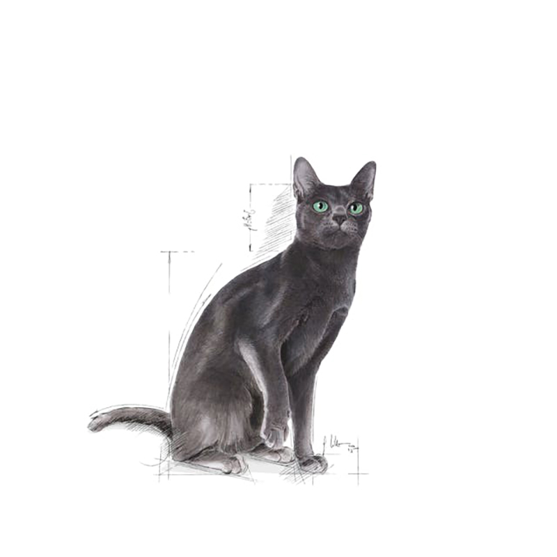 STERILISED 37 REGULAR 2 KG Sterilised 37 Regular 2 Kg