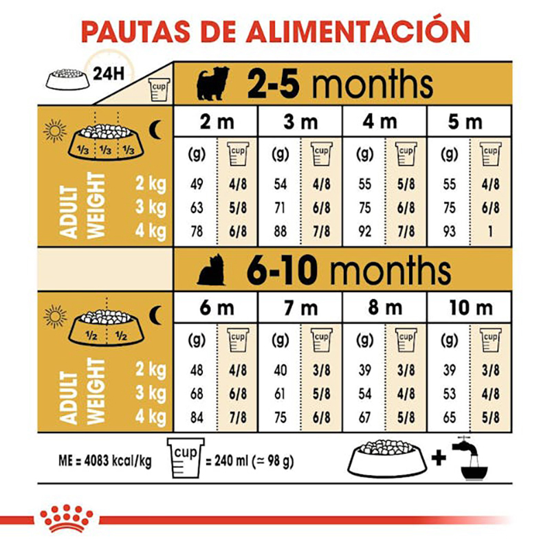 Yorkshire Terrier Junior 500 GR Yorkshire Terrier Junior 500 Gr