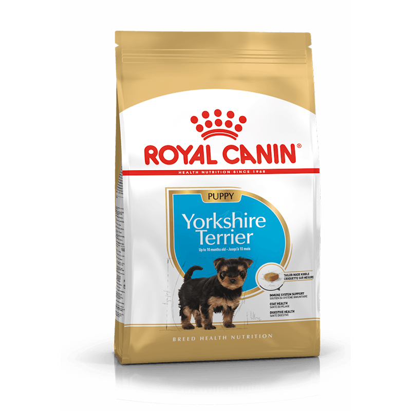 Yorkshire Terrier Junior 500 GR Yorkshire Terrier Junior 500 Gr
