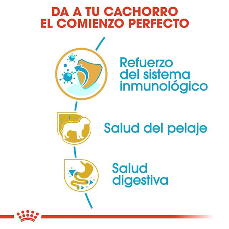 YORKSHIRE TERRIER JUNIOR 1,5 KG Yorkshire Terrier Junior 1