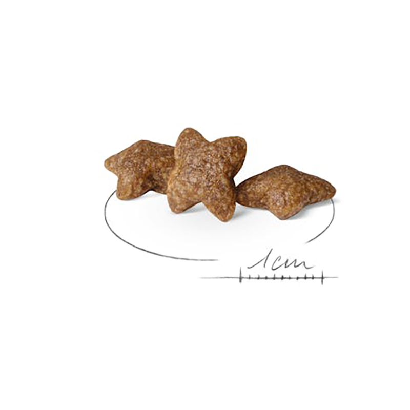 MINI ADULT 800 G Mini Adult 800 G