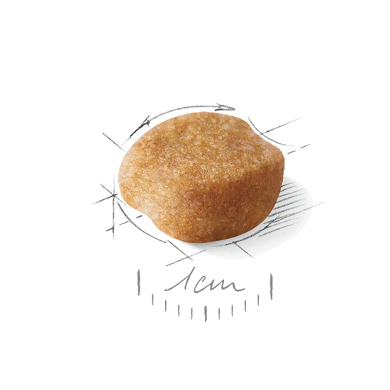 YORKSHIRE TERRIER ADULT 3 KG Yorkshire Terrier Adult 3 Kg