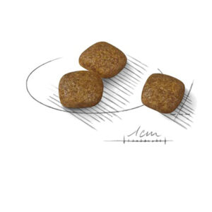 URINARY CARE MINI 3 KG