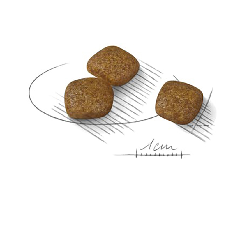 URINARY CARE MINI 3 KG Urinary Care Mini 3 Kg