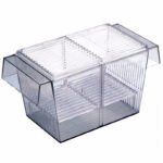 Paridera Guppy Boyu Mod.fh-102