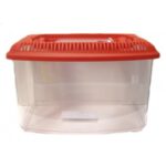 Pecera Acuaterrario 3 Litros