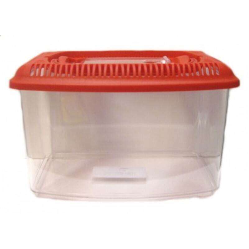 PECERA ACUATERRARIO 3 LITROS Pecera Acuaterrario 3 Litros