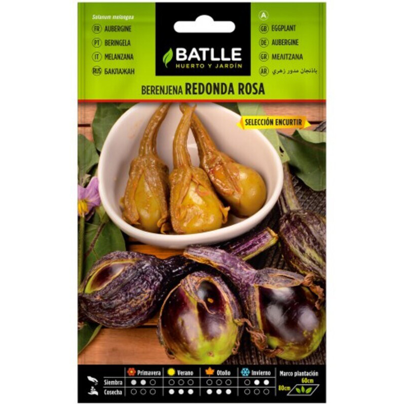 BERENJENA REDONDA ROSA SEL. ENCURTIR Berenjena Redonda Rosa Sel. Encurtir