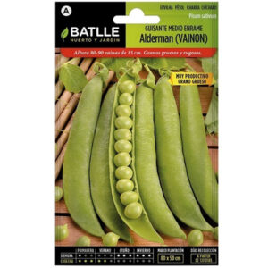 GUISANTE MEDIO ENRAME ALDERMAN VAINON SOBRE 35 GR