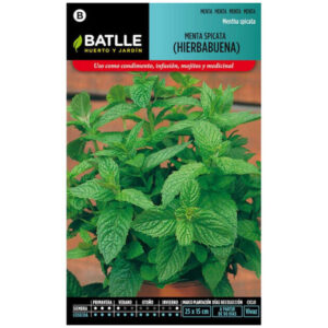 HIERBA BUENA MENTA SPICATA SOBRE 0
