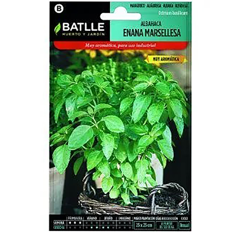 ALBAHACA ENANA MARSELLESA SOBRE 0,5 GR Albahaca Enana Marsellesa Sobre 0