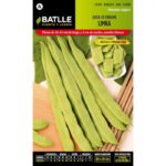 Judia Enrame Limka Sobre 25 Gr