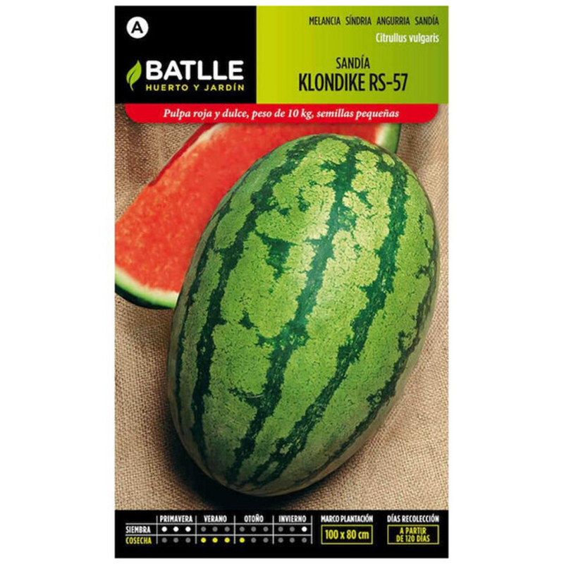 SANDIA KLONDIKE RS57 Sandia Klondike Rs57