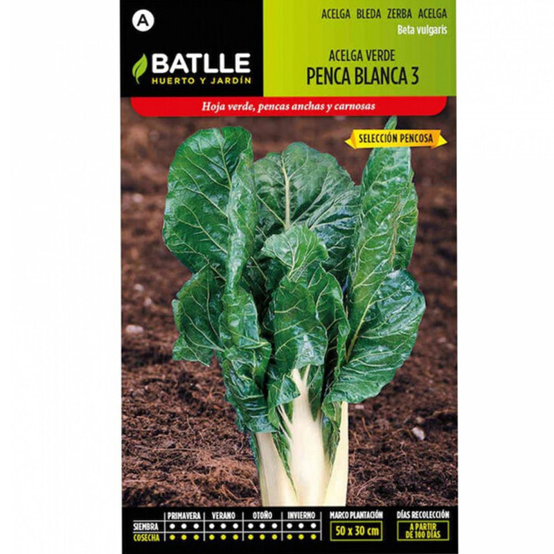 ACELGA VERDE PENCA BLANCA 3 PENCOSA SOBRE 10 GR Acelga Verde Penca Blanca 3 Pencosa Sobre 10 Gr