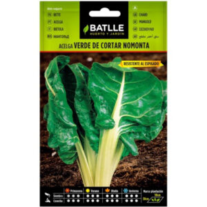 ACELGA VERDE DE CORTAR NOMONTA SOBRE 10 GR