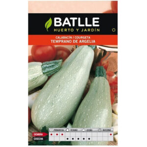 CALABACÍN VERDE CLARO TEMPRANO ARGELIA SOBRE 8 GR