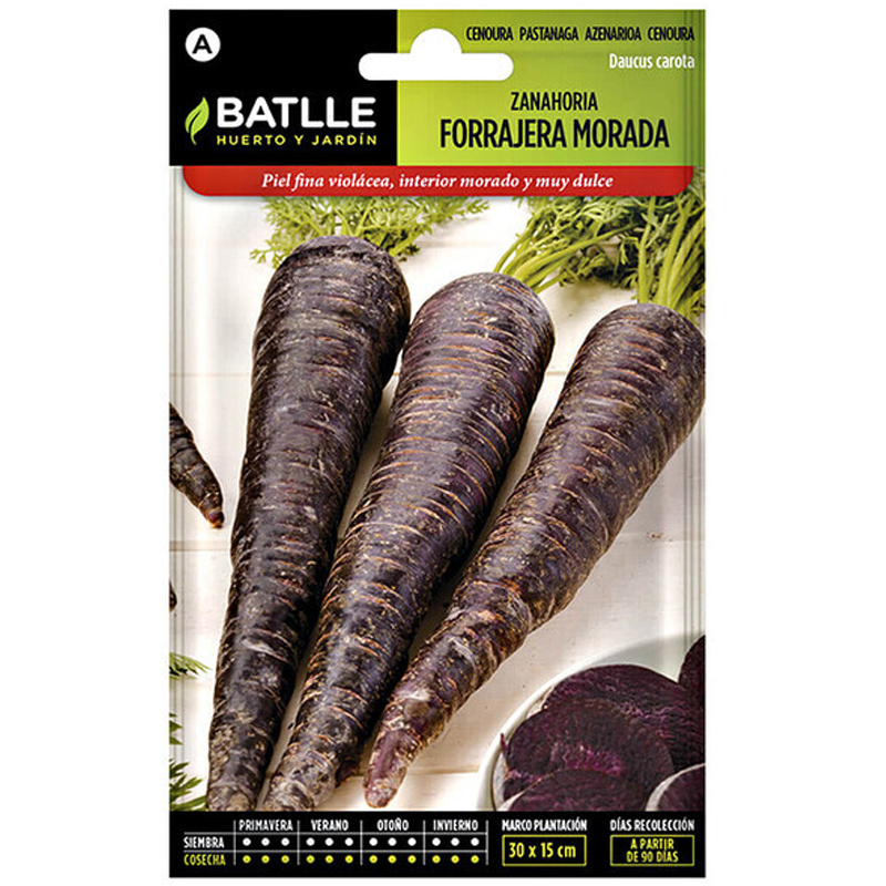ZANAHORIA FORRAJERA MORADA 10 GR Zanahoria Forrajera Morada 10 Gr