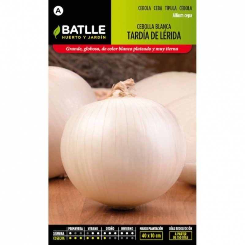 CEBOLLA GRANDE GORDA TARDIA DE LERIDA 4 GR Cebolla Grande Gorda Tardia De Lerida 4 Gr