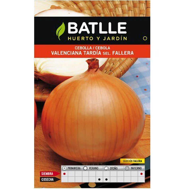 CEBOLLA VALENCIANA TARDÍA SELECCIÓN FALLERA 4 GR Cebolla Valenciana Tardía Selección Fallera 4 Gr