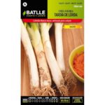 Cebolla Blanca Tardia Lerida Calcots Sobre 4 Gr