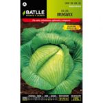 Col Brunswick (Valenciana) Sobre 10 Gr