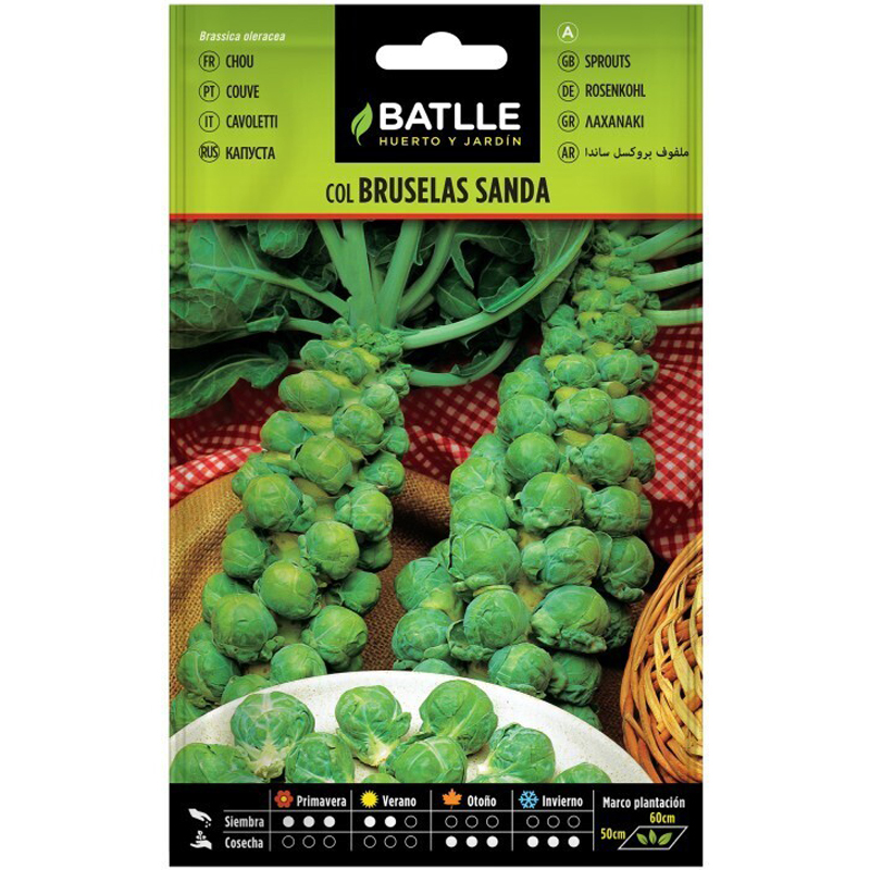 COL BRUSELAS SANDA SOBRE 8 GR Col Bruselas Sanda Sobre 8 Gr